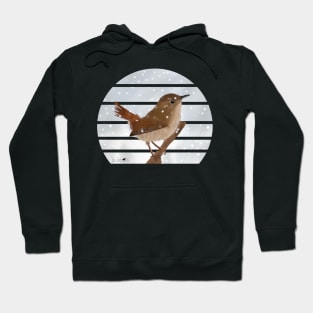 Wren Winter Snow Bird Watching Birding Ornithologist Gift Hoodie